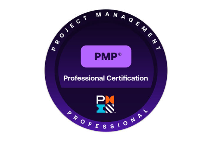 Certified Project Management Professional
